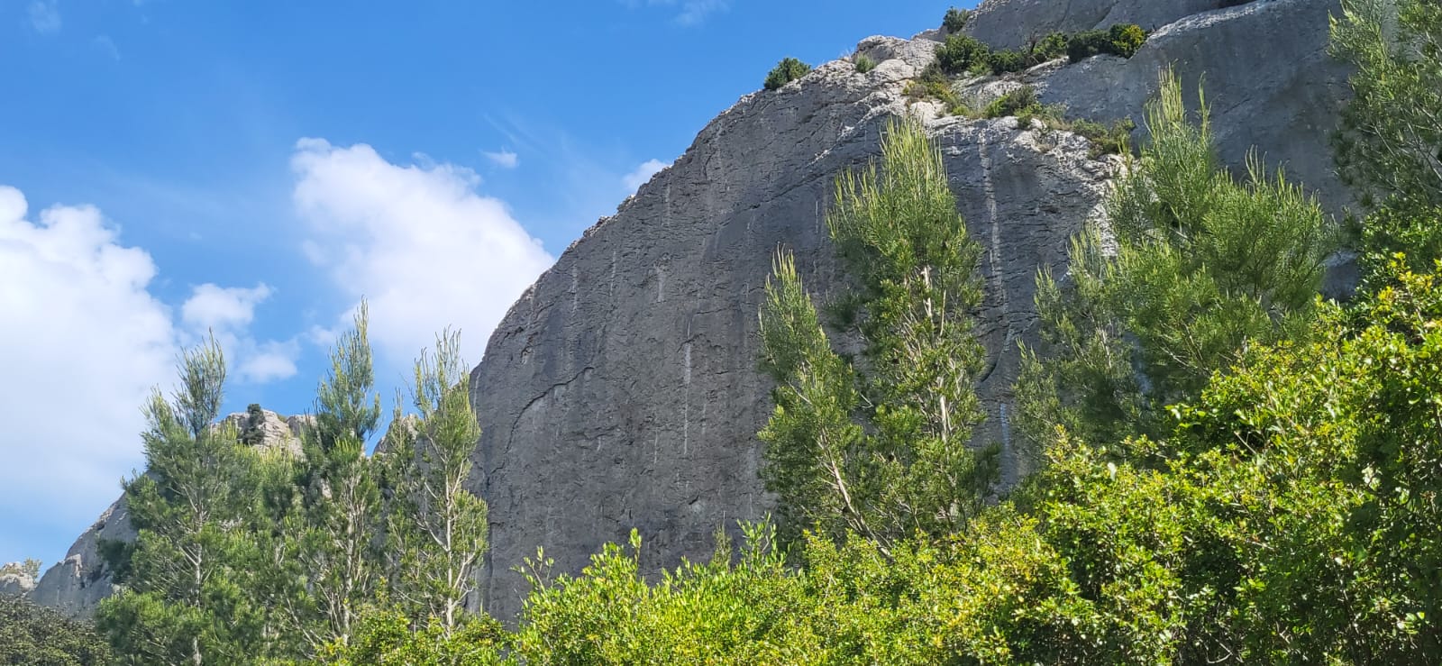 Mouries – Alpilles – Mai 2025